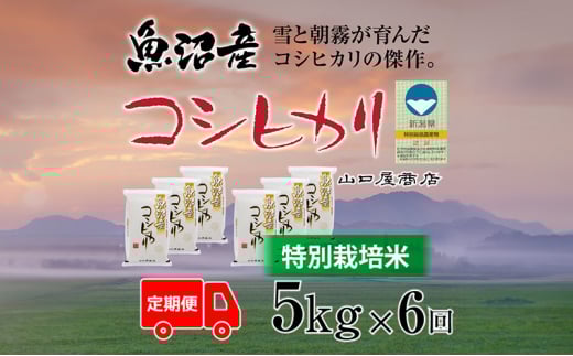 yV\sz S6 ʍ͔| YRVqJ 5kg