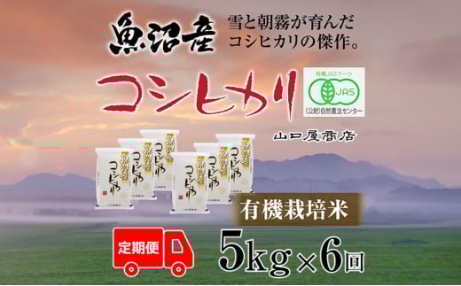 yV\sz S6 L@͔| YRVqJ 5kg