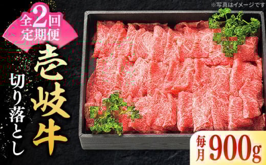 y茧szyS2ցz I  ؂藎Ƃ 900g sstyzz   ؂藎Ƃ ؗ ؂藎 Ă Ԃ Ԑg ؂ ؂   [JDL107]