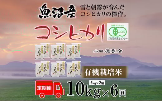 yV\sz S6 L@͔| YRVqJ 5kg×2