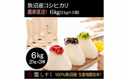 【新潟県十日町市】令和7年産!魚沼産コシヒカリ【農家直送!】 6kg(2kg×3袋) お米 米 コメ