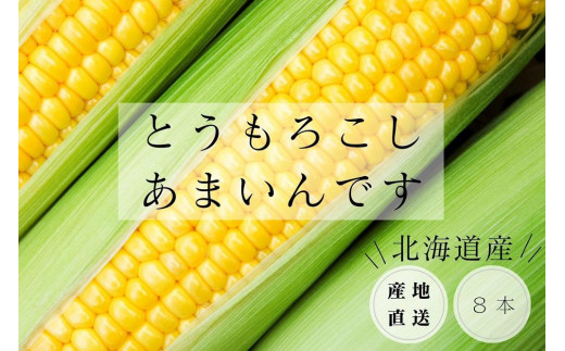 2024年8月中旬より発送】とうもろこし（あまいんです）８本セット！ 北海道長沼町｜ふるさとチョイス ふるさと納税サイト