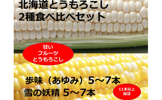 訳あり 北海道 とうもろこし 2種類食べ比べセット トウモロコシ 雪の