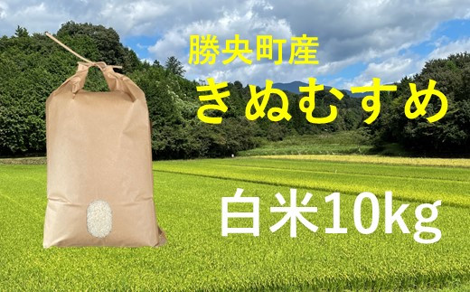 令和6年産 食味コンテスト受賞者の作るお米シリーズ「きぬむすめ白米10kg」_【11月から3月発送】_S100 - 岡山県勝央町｜ふるさとチョイス -  ふるさと納税サイト