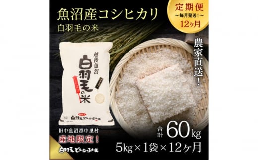 通年受付】≪令和6年産 ≫【定期便／全12回】農家直送！魚沼産コシヒカリ「白羽毛の米」精米 (5kg×1袋)×12回 60kg - 新潟県十日町市｜ふるさとチョイス  - ふるさと納税サイト