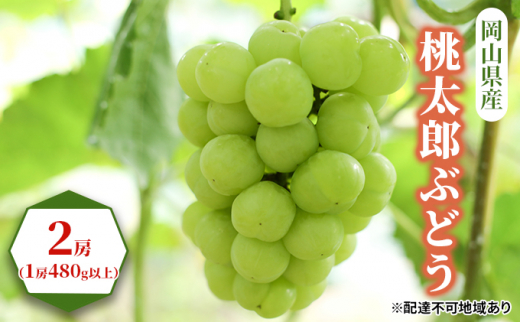 yRʖszԂǂ 2026N s\ Y Ԃǂ 2[i1[480gȏj uhE   RY Y t[c ʕ Mtg