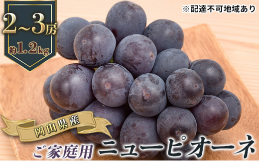 yRʖszԂǂ 2026N s\ ƒp j[ sI[l 2`3[ v1.2kg uhE   RY Y t[c ʕ Mtg