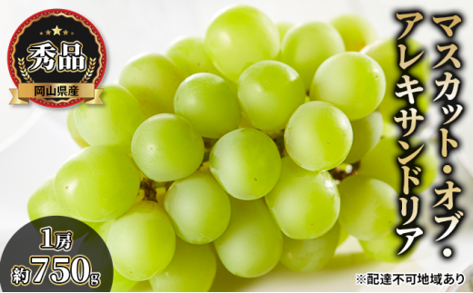 yRʖszԂǂ 2026N s\ }XJbgEIuEALThA Gi 1[750g ϔ uhE   RY Y t[c ʕ Mtg