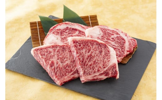 【福岡県大川市】A5/A4 博多和牛サーロインステーキ 3〜4人前 約500g