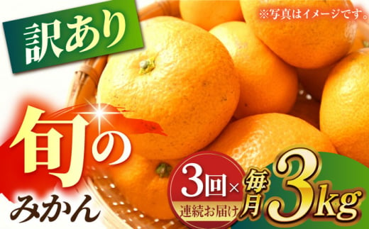 先行予約】【数量限定】【3回定期便】【訳あり】家庭用 みかん 約3kg 詰め合わせ 柑橘【合同会社 社方園】 [ZBZ023] -  熊本県山鹿市｜ふるさとチョイス - ふるさと納税サイト