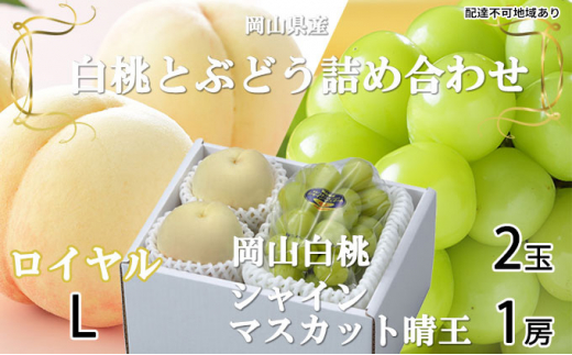 yRʖsz Ԃǂ 2026N s\ R  C 2×200giLTCYAEjVC }XJbg  1[400g  lߍ킹 RY t[c