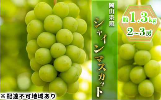 【岡山県玉野市】ぶどう 2026年 先行予約 シャイン マスカット 約1.3kg 2〜3房 ブドウ 葡萄  岡山県産 国産 フルーツ 果物 ギフト