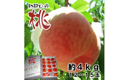 2024年7月順次発送 先行受付＞桃(白鳳) 12玉～15玉入り 約4kg【1378428