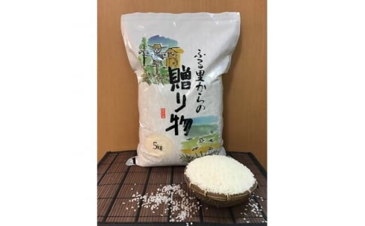 館山産コシヒカリ 5kg【1200786】 - 千葉県館山市｜ふるさとチョイス - ふるさと納税サイト