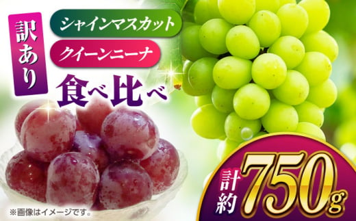 先行予約】【数量限定】【訳あり】食べ比べセット 約750ｇ（シャインマスカット 1房 & クイーンニーナ 切り落とし 約300g）【合同会社 社方園】  [ZBZ024] - 熊本県山鹿市｜ふるさとチョイス - ふるさと納税サイト