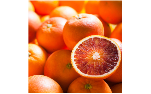 81愛媛県産 ブラッドオレンジ タロッコ 10㎏