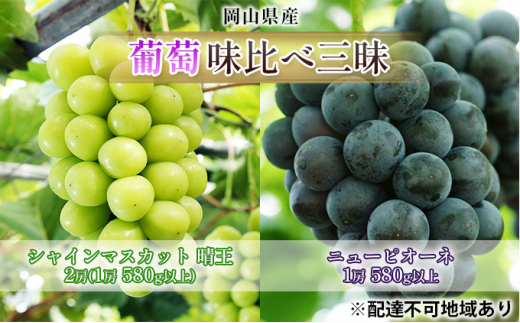 yRʖszԂǂ 2026N s\  ׎O VC }XJbg  2[i1[ 580gȏjj[ sI[l  1[ 580gȏiIn͔|jl uhE   RY Y t[c