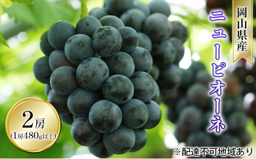 yRʖszԂǂ 2026N s\ j[ sI[l 2[i1[ 480gȏ In͔|j uhE   RY Y t[c ʕ Mtg