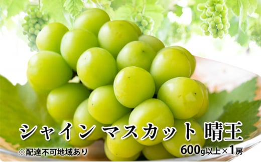 【岡山県玉野市】ぶどう 2025年 先行予約 シャイン マスカット 晴王 600g以上×1房 種無し ブドウ 葡萄  岡山県産 国産 フルーツ 果物 ギフト