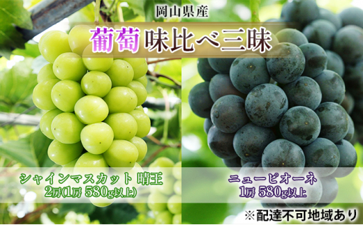 【岡山県玉野市】ぶどう 2026年 先行予約 葡萄 味比べ三昧 シャイン マスカット 晴王 2房(1房 580g以上)ニュー ピオーネ  1房 580g以上(ハウス栽培)詰合せ ブドウ 葡萄  岡山県産 国産 フルー