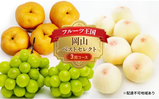 yRʖszt[c  2026N s\ t[c R xXgZNg 3R[X    Ԃǂ  Ȃ RY Y ʕ Zbg Mtg {̃t[c Ԃǂ 