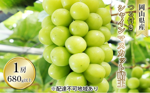 yRʖszԂǂ 2026N s\ t VC }XJbg  1[ 680gȏiIn͔|j uhE   RY Y t[c ʕ Mtg