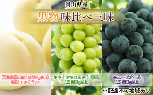 yRʖsz Ԃǂ 2026N s\ ʕ ׎O R  4 FCi1220gȏj VC }XJbg  1[ 580gȏ j[ sI[l 1[ 580gȏ l RY