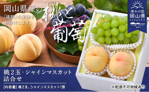 【岡山県玉野市】桃 ぶどう 2026年 白桃 晩生種 2玉 シャイン マスカット 1房 合計約1.0kg もも 葡萄 岡山県産 国産 フルーツ 果物 ギフト