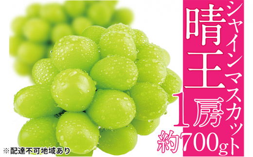 �y���R���ʖ�s�z�Ԃǂ� 2026�N ��s�\�� �V���C�� �}�X�J�b�g ���� 1�[ ��700g �u�h�E ����  ���R���Y ���Y �t���[�c �ʕ� �M�t�g