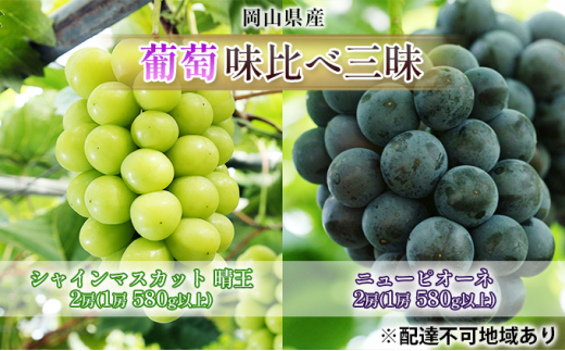 yRʖszԂǂ 2026N s\  ׎O VC }XJbg  2[i1[ 580gȏjj[ sI[l 2[i1[ 580gȏjiIn͔|jl uhE   RY Y t