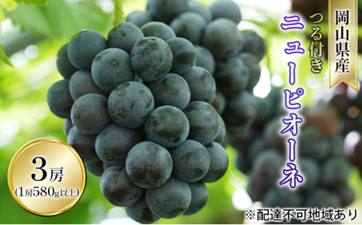 【岡山県玉野市】ぶどう 2026年 先行予約 つる付き ニュー ピオーネ 3房入り(1房 580g以上 ハウス栽培) ブドウ 葡萄  岡山県産 国産 フルーツ 果物 ギフト