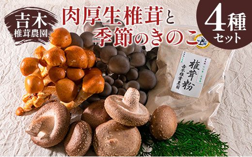 吉木椎茸農園 肉厚生椎茸と季節のきのこセット_YO087_001 - 広島県北
