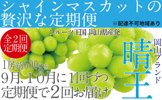 ぶどう 2025年 先行予約 9月・10月発送 シャイン マスカット 晴王 1房 約600g ブドウ 葡萄 岡山県産 国産 フルーツ 果物 ギフト -  岡山県玉野市｜ふるさとチョイス - ふるさと納税サイト