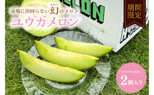 幻のメロン 優香メロン ゆうか メロン ユウカメロン 茨城県