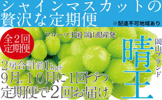 ぶどう2025年 先行予約 9月・10月発送 シャイン マスカット 晴王 2房（合計約1kg） ブドウ 葡萄 岡山県産 国産 フルーツ 果物 ギフト  - 岡山県玉野市｜ふるさとチョイス - ふるさと納税サイト