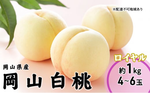 岡山県産おかやま夢白桃ロイヤル 13個入り 岡山県産おかやま夢白桃ロイヤル 13個入り おかやま夢白桃5～6玉 (