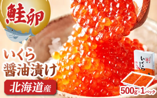 いくら醤油漬け(鮭卵) 500g×1パック_H0001-034 - 北海道浜中町｜ふるさとチョイス - ふるさと納税サイト