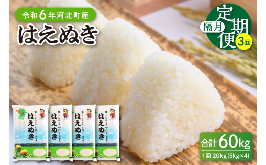 ふるさと納税 山形県 河北町 2024年3月後半発送　雪若丸 20kg（5kg×4袋）山形県産 2024年3月後半発送 ふるさと納税 山形県 河北町 \u203b2024年3月後半スタート\u203bはえぬき 45kg