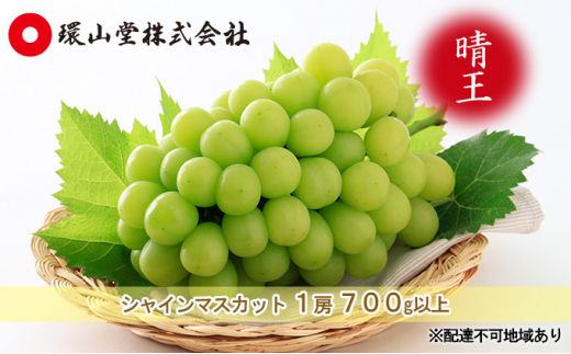 ぶどう 2024年 先行予約 シャイン マスカット 晴王 1房 700g以上 マスカット ブドウ 葡萄 岡山県産 国産 フルーツ 果物 ギフト 環山堂  - 岡山県玉野市｜ふるさとチョイス - ふるさと納税サイト