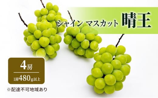 ふるさと納税 遠し 玉野市 【2024年8月下旬より発送】ご家庭用