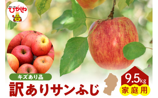 令和6年産 先行予約】※訳あり※ サンふじ満杯詰(約9.5kg) 東根市 山形県 東根農産センター提供 hi027-131 - 山形県東根市｜ふるさとチョイス  - ふるさと納税サイト