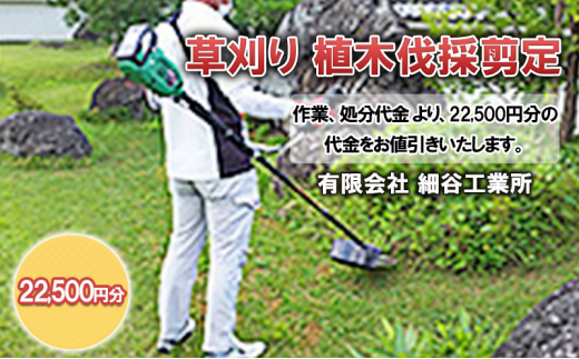 y쌧csz A̙ؔ 22,500~ [5312-0868]