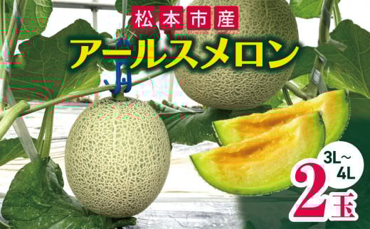 y쌧{szystF2026Nz󂠂  A[X 2 ( 3L ` 4L ) | 쌧 {sY  A[X [邷߂ ʕ  쌧 {s ӂ[ t