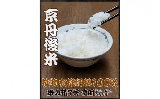 京丹後米～水と文化が育んだ～野間のこしひかり 3kg お米 コシヒカリ 京丹後米 3キロ ふるさと 納税 コシヒカリ 精米 ふるさと 納税 こしひかり  ふるさと 納税 米 精米 京都産 京丹後 生産者応援 農家応援 送料無料 FP00001 - 京都府京丹後市｜ふるさとチョイス ...