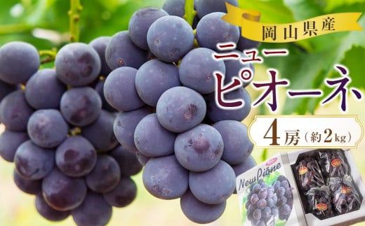 yRRszԂǂ 2026N  RY j[sI[l 4[ 2kg   ԂǂAC