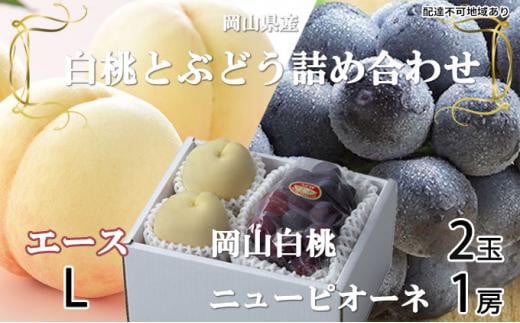 【岡山県岡山市】桃 ぶどう 2026年 岡山 白桃 エース 2玉×約200g(Lサイズ、早生種・中生種)ニュー ピオーネ 1房約400g 詰め合わせ 岡山県産 フルーツ
