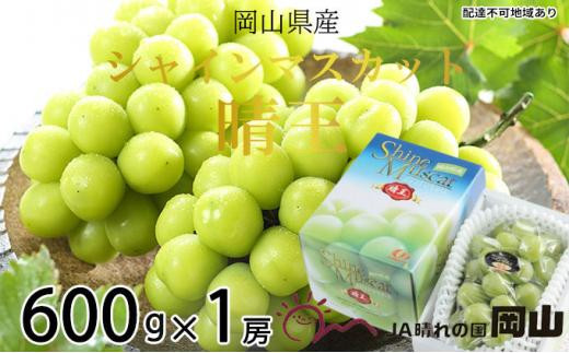 【岡山県岡山市】ぶどう 2026年   シャイン マスカット 晴王 約600g×1房 ブドウ 葡萄  岡山県産 国産 フルーツ 果物 ギフト