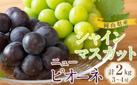 yRRszԂǂ 2026N RY VC}XJbgEsI[l 2 lߍ킹 v2kgi3`4[jԂǂAC | t[c ʕ  Ԃǂ uhE VC}XJbg sI[l Y