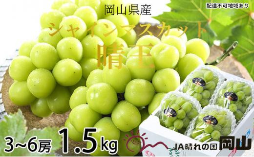 【岡山県岡山市】ぶどう 2026年   シャイン マスカット 晴王 3房〜6房 約1.5kg ブドウ 葡萄  岡山県産 国産 フルーツ 果物 ギフト