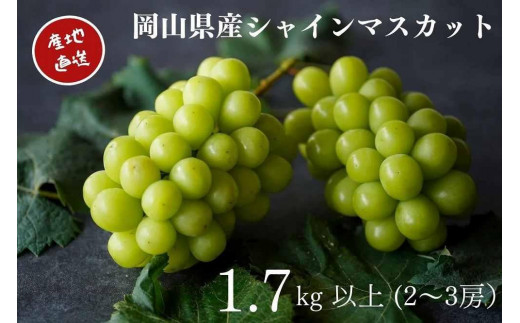 yRRsz 2025N I VC}XJbg 2`3[ v1.7kgȏ Yn ̂ Ԃǂ  Kawahara Green Farm RY | t[c ʕ  I VC}XJbg }XJbg